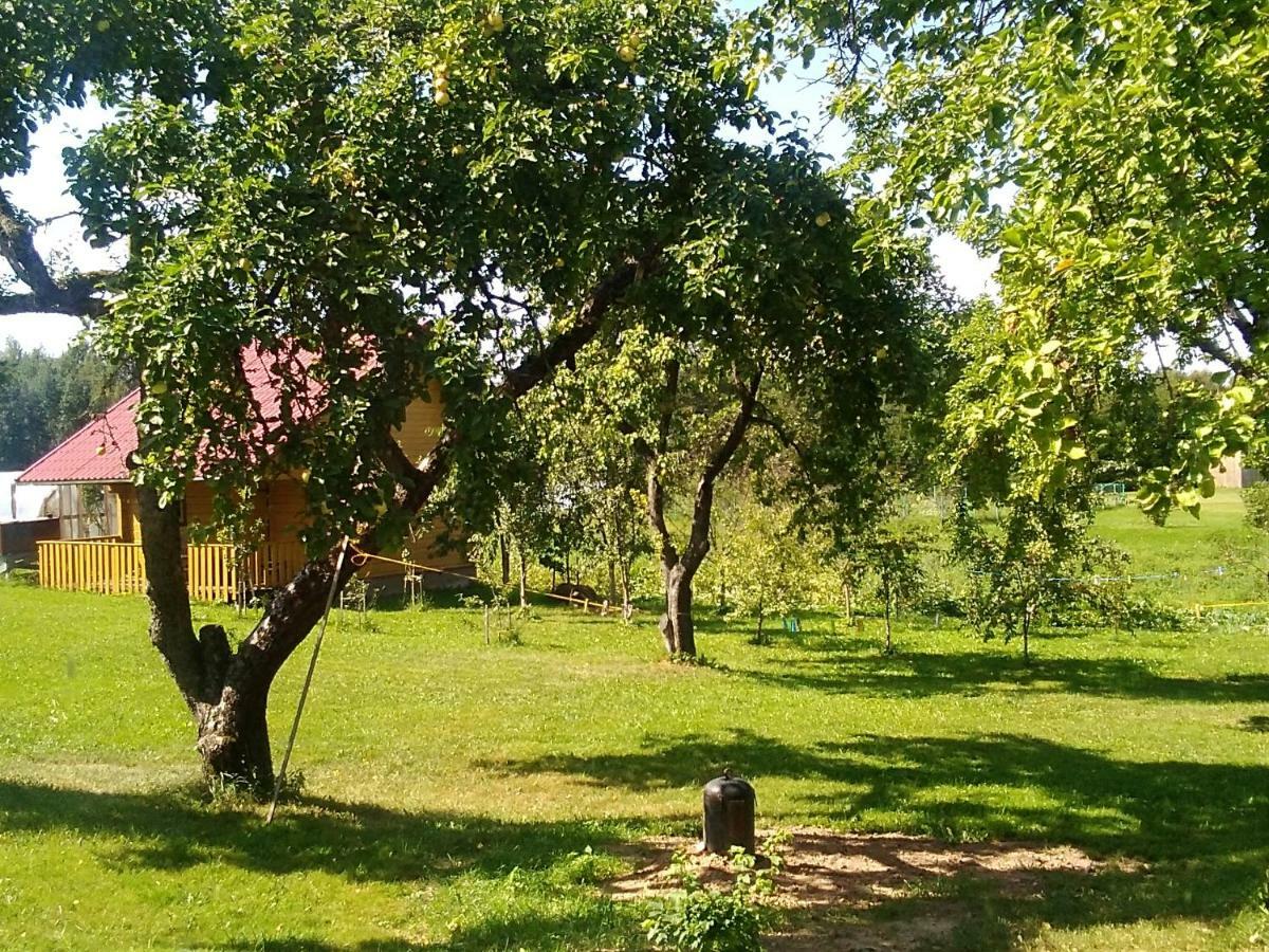 Ceslovos Sodyba Zarasai Dış mekan fotoğraf